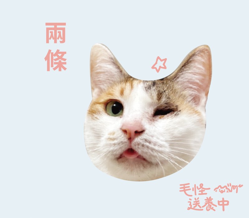 兩條
