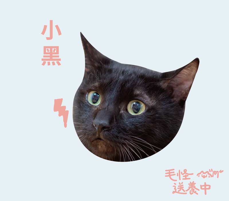 小黑