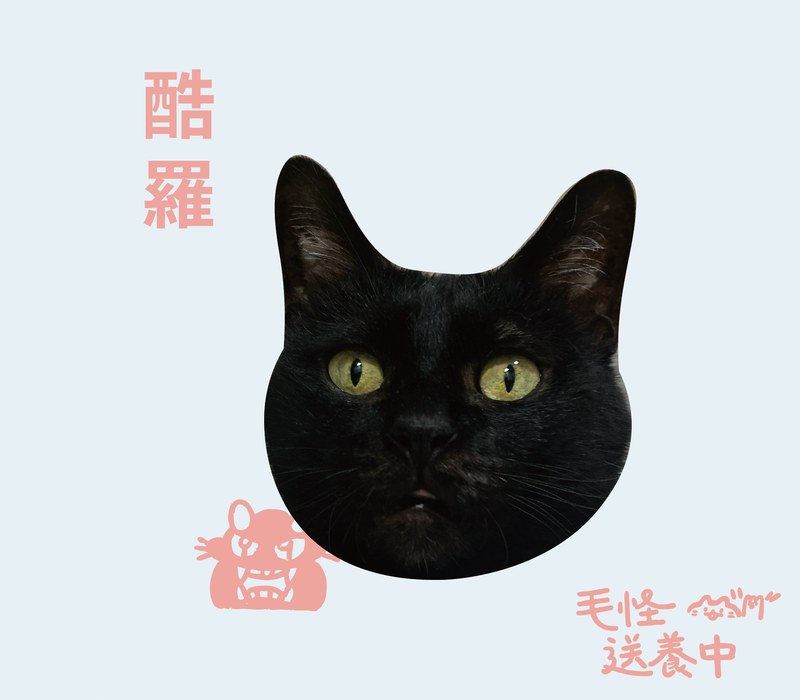 酷羅