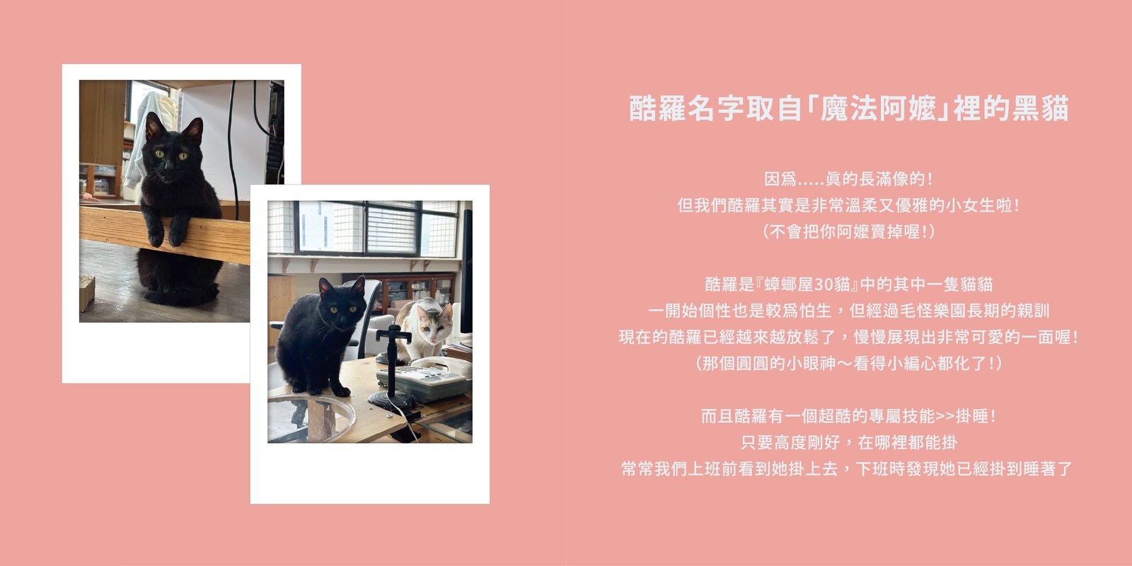 酷羅的資料卡：酷羅名字取自「魔法阿嬤」裡的黑貓