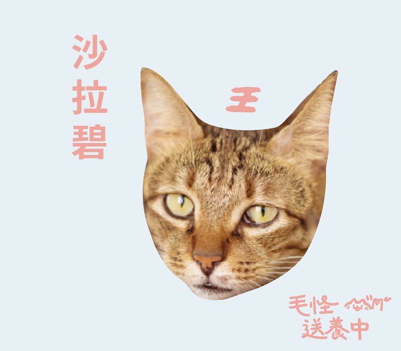沙拉碧