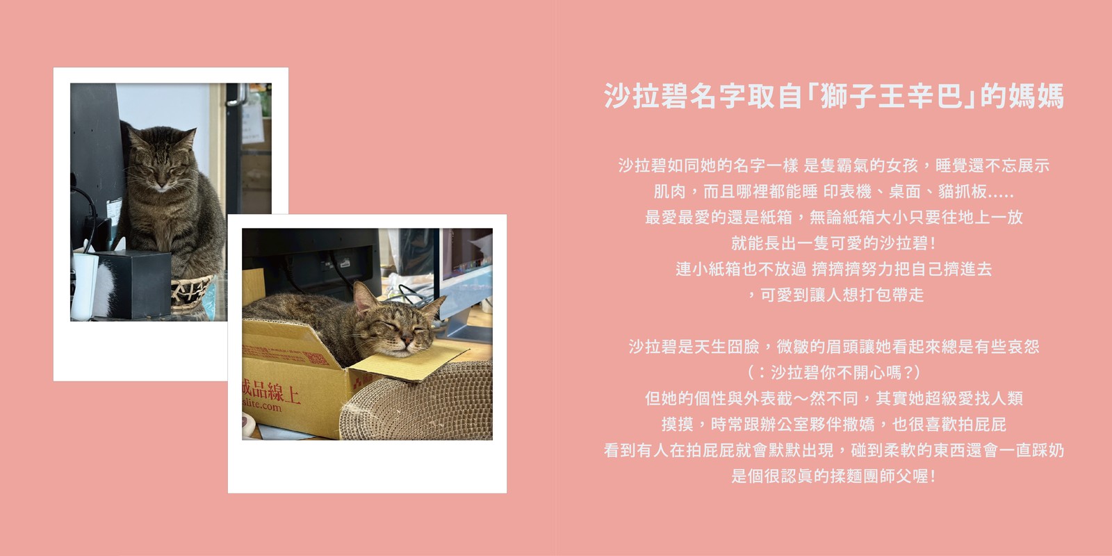 沙拉碧的資料卡：沙拉碧名字取自「獅子王辛巴」的媽媽