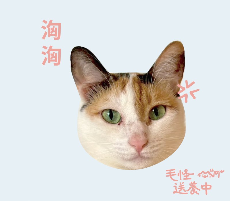 洶洶